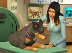 Criem o vosso animal de estimação em The Sims 4